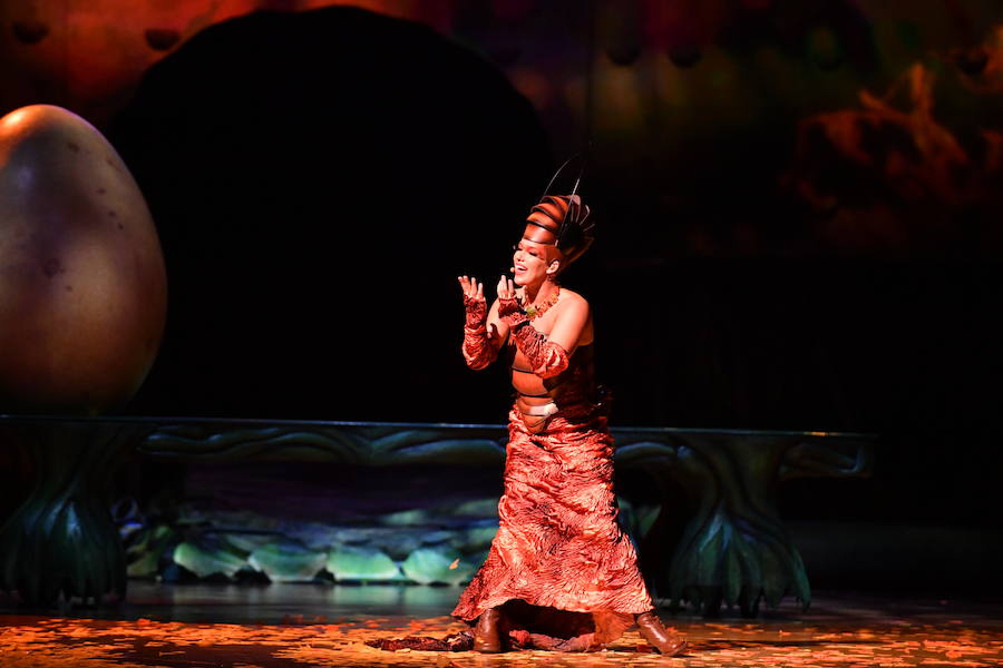 'La Verdad' acompaña a los artistas de la mítica compañía canadiense en una jornada de duro entrenamiento 'Ovo', la nueva apuesta del Circo del Sol, recalará en Murcia del 16 al 20 de enero