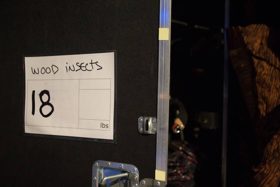 'La Verdad' acompaña a los artistas de la mítica compañía canadiense en una jornada de duro entrenamiento 'Ovo', la nueva apuesta del Circo del Sol, recalará en Murcia del 16 al 20 de enero