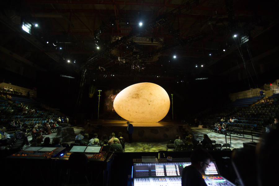 'La Verdad' acompaña a los artistas de la mítica compañía canadiense en una jornada de duro entrenamiento 'Ovo', la nueva apuesta del Circo del Sol, recalará en Murcia del 16 al 20 de enero