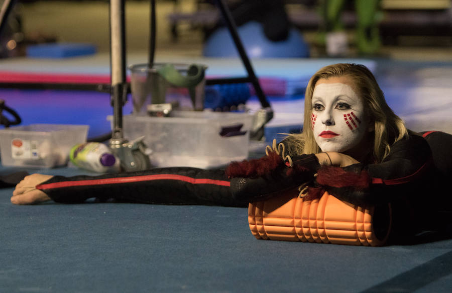 'La Verdad' acompaña a los artistas de la mítica compañía canadiense en una jornada de duro entrenamiento 'Ovo', la nueva apuesta del Circo del Sol, recalará en Murcia del 16 al 20 de enero