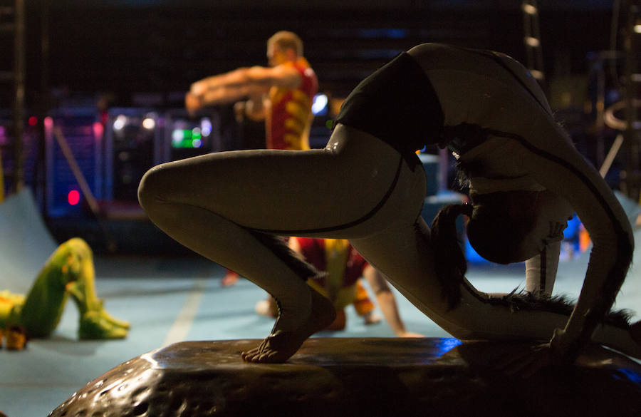 'La Verdad' acompaña a los artistas de la mítica compañía canadiense en una jornada de duro entrenamiento 'Ovo', la nueva apuesta del Circo del Sol, recalará en Murcia del 16 al 20 de enero