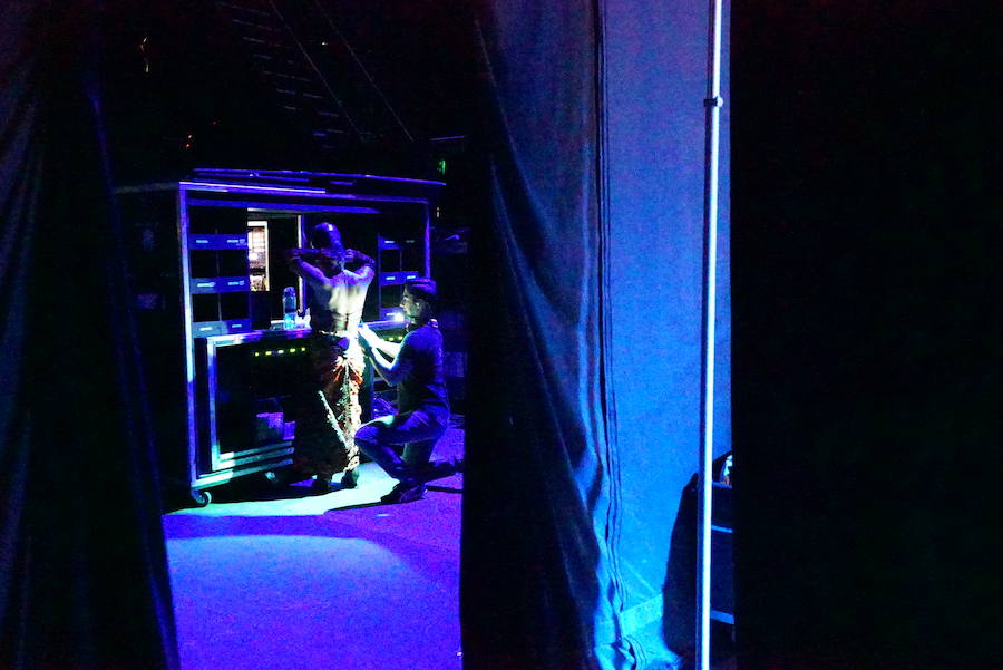 'La Verdad' acompaña a los artistas de la mítica compañía canadiense en una jornada de duro entrenamiento 'Ovo', la nueva apuesta del Circo del Sol, recalará en Murcia del 16 al 20 de enero