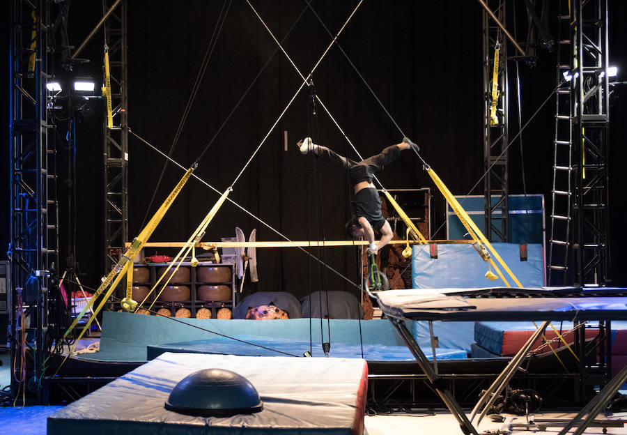 'La Verdad' acompaña a los artistas de la mítica compañía canadiense en una jornada de duro entrenamiento 'Ovo', la nueva apuesta del Circo del Sol, recalará en Murcia del 16 al 20 de enero