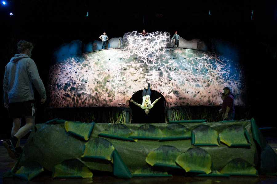 'La Verdad' acompaña a los artistas de la mítica compañía canadiense en una jornada de duro entrenamiento 'Ovo', la nueva apuesta del Circo del Sol, recalará en Murcia del 16 al 20 de enero