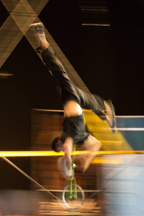 'La Verdad' acompaña a los artistas de la mítica compañía canadiense en una jornada de duro entrenamiento 'Ovo', la nueva apuesta del Circo del Sol, recalará en Murcia del 16 al 20 de enero