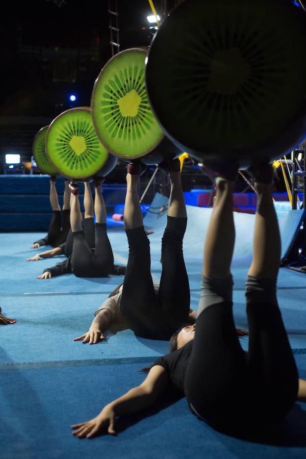 'La Verdad' acompaña a los artistas de la mítica compañía canadiense en una jornada de duro entrenamiento 'Ovo', la nueva apuesta del Circo del Sol, recalará en Murcia del 16 al 20 de enero