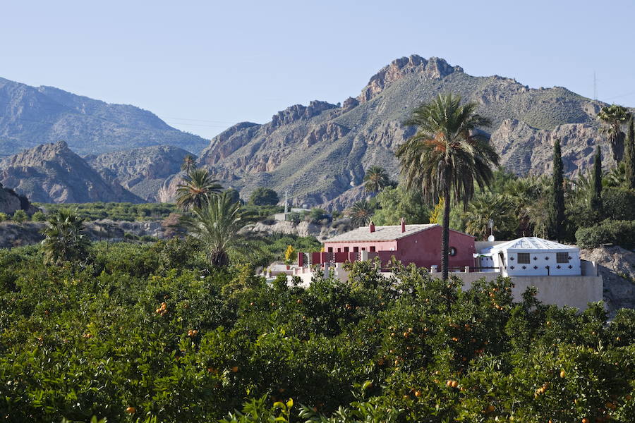 Vista global de la Joya del Valle de Ricote y su finca de cítricos.