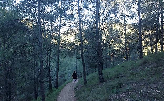 La senda del castillo del Puerto, en el Parque Regional El Valle-Carrascoy.