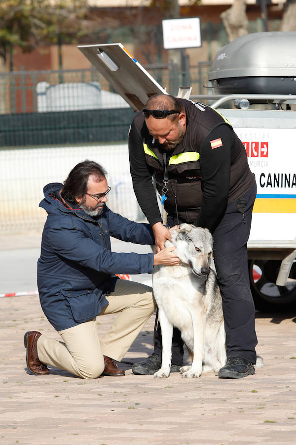 Desde 2002 actúa como grupo de intervención en búsqueda de personas y grandes catástrofes, tanto en la Región como en el extranjero