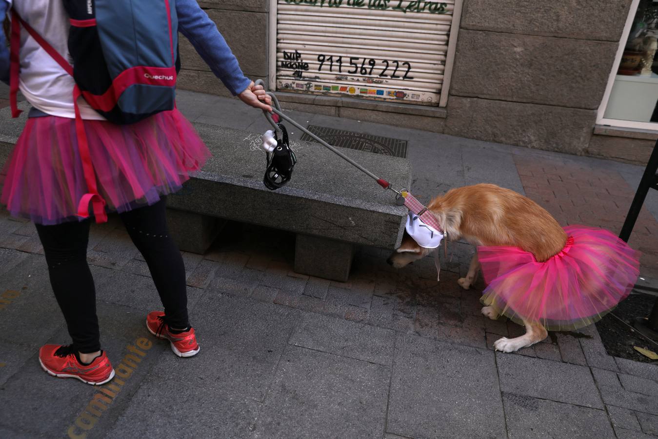 Varias personas con sus perros participan en la octava edición de la Sanperrestre, una iniciativa promovida por la protectora El Refugio que pretende concienciar sobre la importancia de adoptar mascotas en lugar de comprarlas.