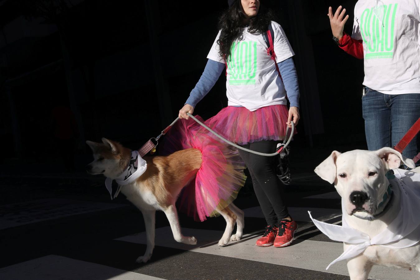 Varias personas con sus perros participan en la octava edición de la Sanperrestre, una iniciativa promovida por la protectora El Refugio que pretende concienciar sobre la importancia de adoptar mascotas en lugar de comprarlas.