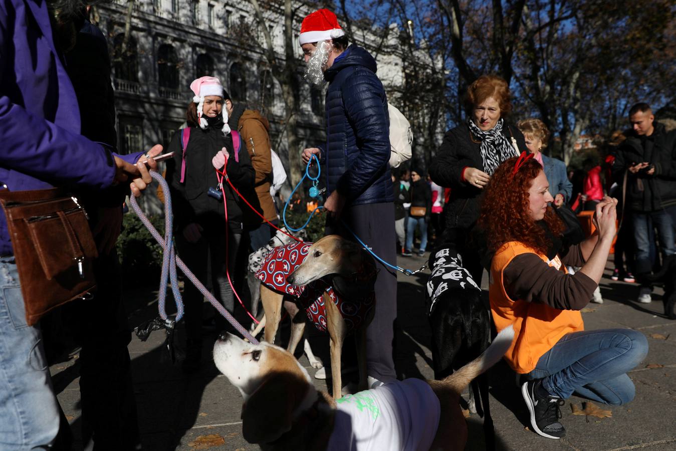 Varias personas con sus perros participan en la octava edición de la Sanperrestre, una iniciativa promovida por la protectora El Refugio que pretende concienciar sobre la importancia de adoptar mascotas en lugar de comprarlas.