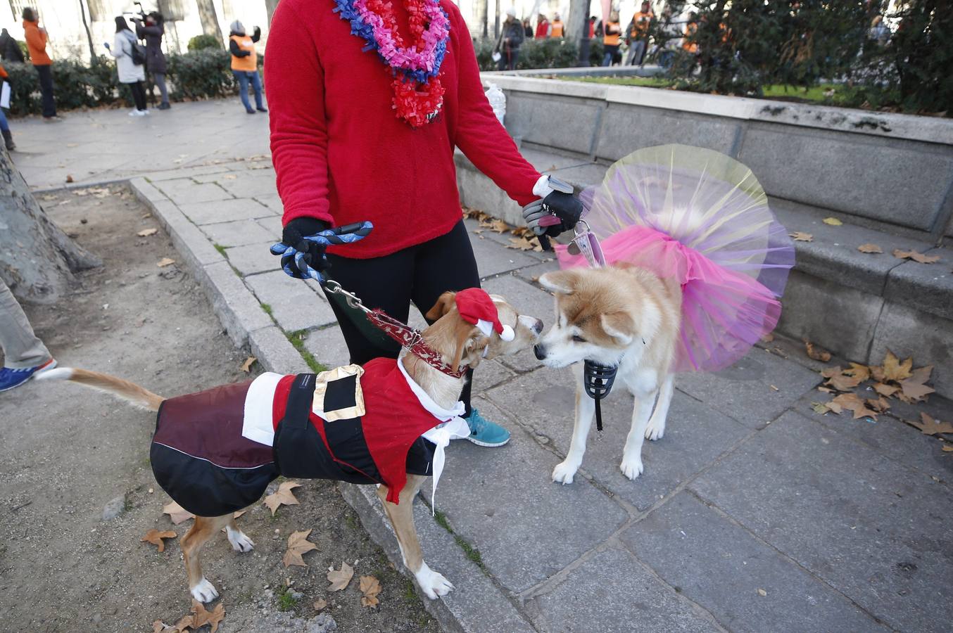 Varias personas con sus perros participan en la octava edición de la Sanperrestre, una iniciativa promovida por la protectora El Refugio que pretende concienciar sobre la importancia de adoptar mascotas en lugar de comprarlas.