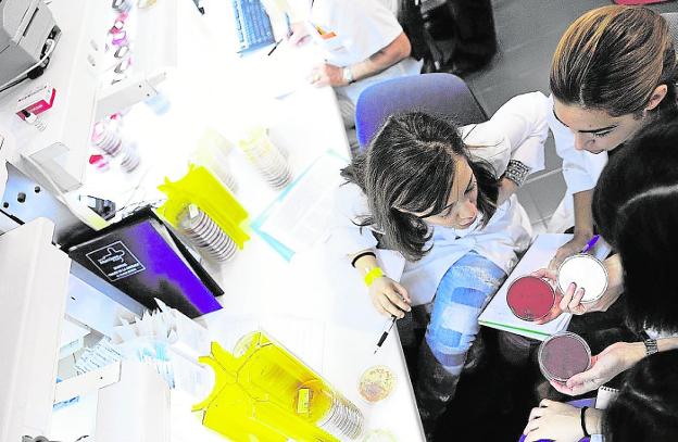 Alumnos de Medicina de la UMU realizan prácticas en La Arrixaca, en una foto de archivo. 