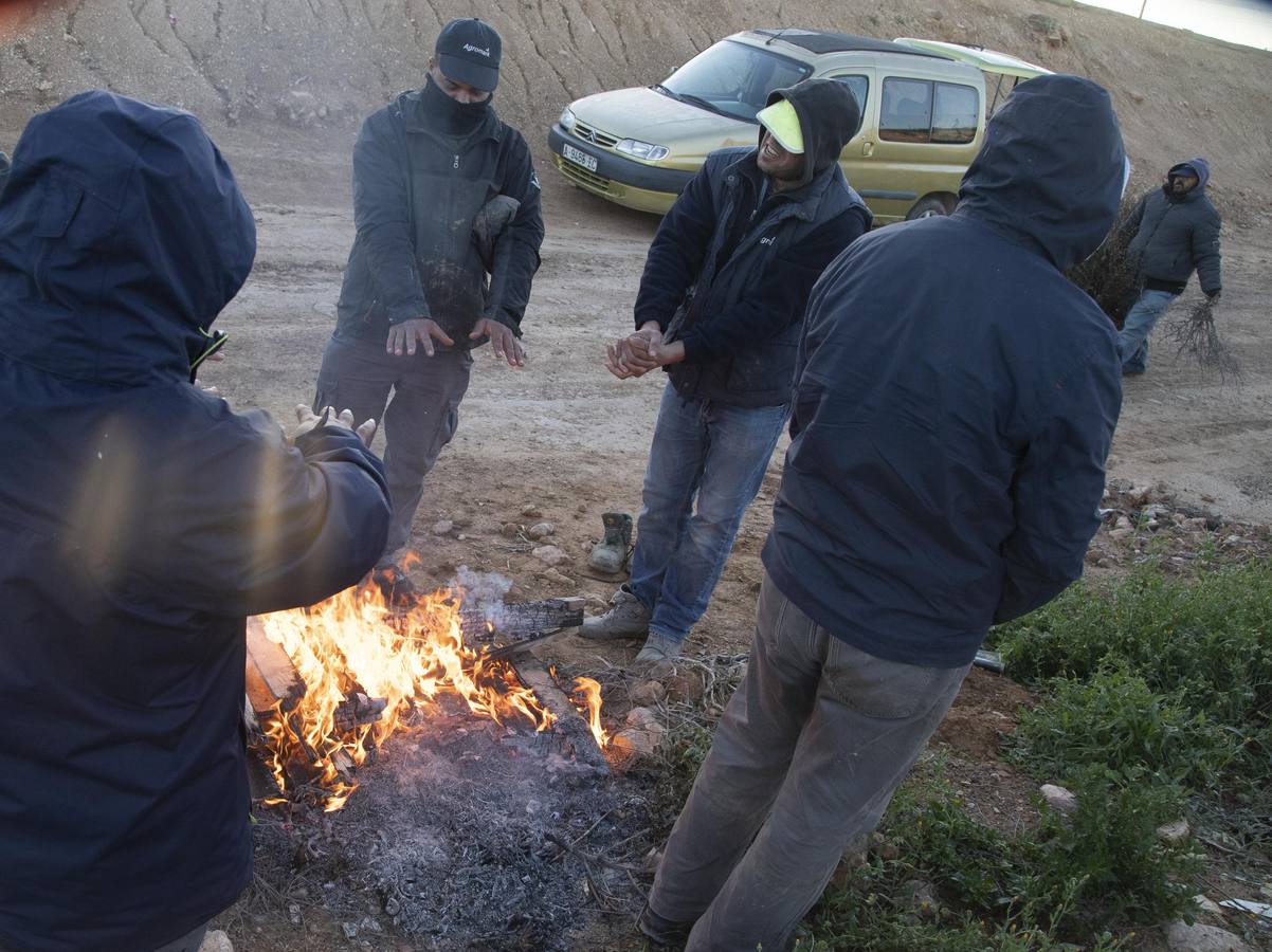 La Aemet mantiene la alerta amarilla para hoy en el Noroeste y el Altiplano, donde las temperaturas gélidas no provocaron pérdidas