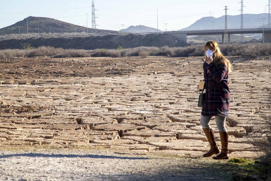 Así lo anunció Cartagena Sí Se Puede tras las labores del Gobierno regional y del Ayuntamiento en estos terrenos contaminados