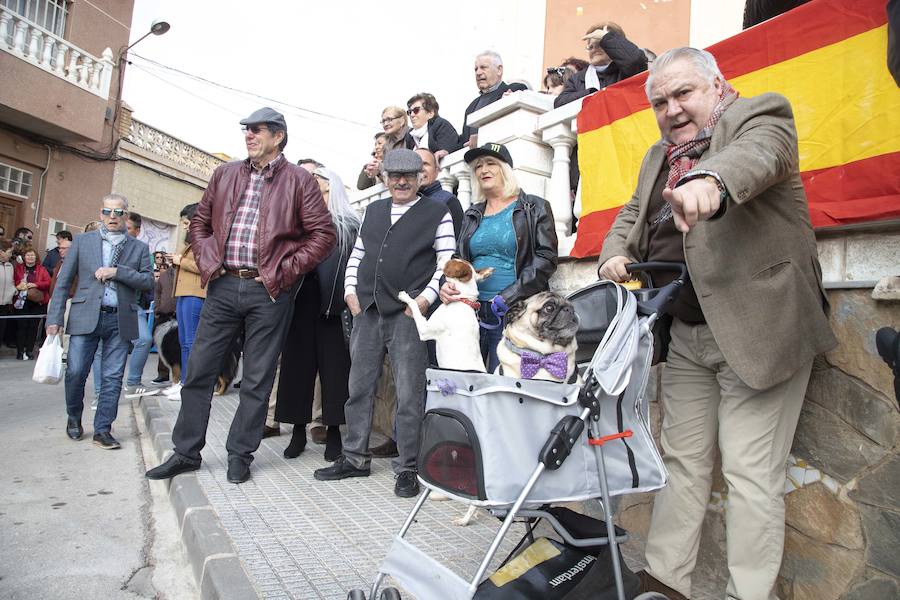 Este jueves tuvo lugar la Diana Floreada, la Misa Solemne y la tradicional bendición de los animales en la Plaza de la Iglesia