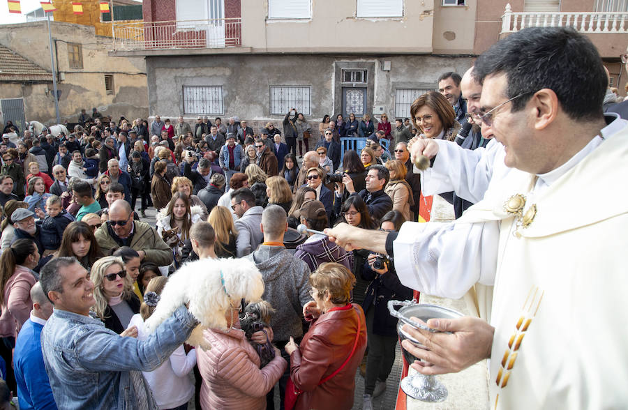 Este jueves tuvo lugar la Diana Floreada, la Misa Solemne y la tradicional bendición de los animales en la Plaza de la Iglesia