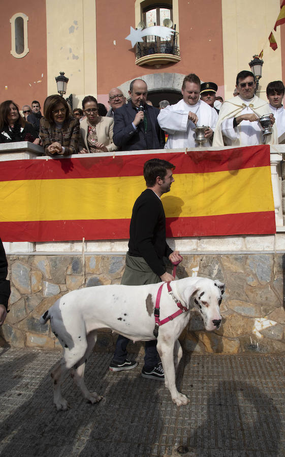 Este jueves tuvo lugar la Diana Floreada, la Misa Solemne y la tradicional bendición de los animales en la Plaza de la Iglesia