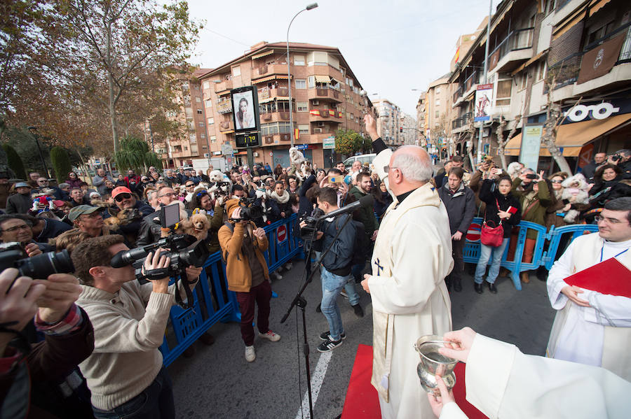 La ermita de San Antón acogió a un centenar de murcianos que llevaron a sus mascotas para que fueran regadas con agua bendita por el padre Jorge Rodríguez