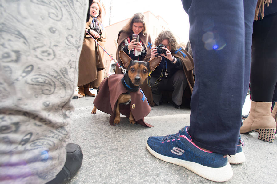 La ermita de San Antón acogió a un centenar de murcianos que llevaron a sus mascotas para que fueran regadas con agua bendita por el padre Jorge Rodríguez