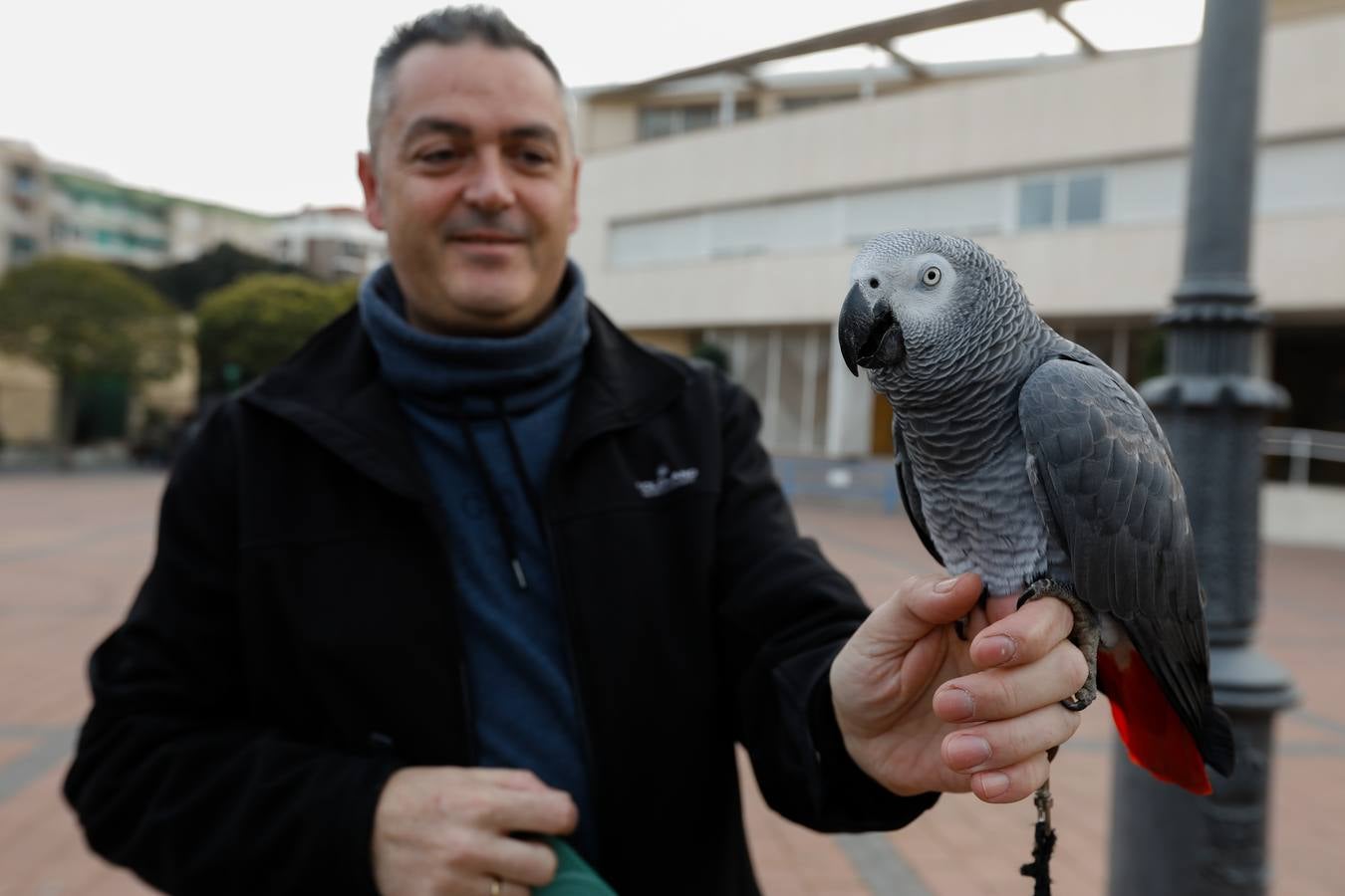 Las mascotas de Molina reciben la bendición de San Antón.