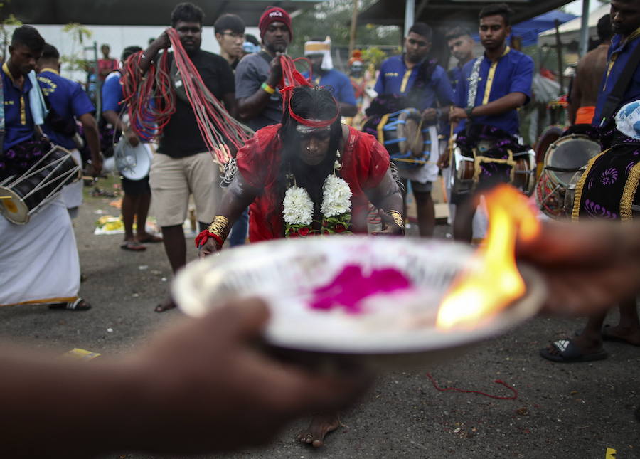 Los devotos del dios hindú Murugan celebran el Taipusam. Es un festival importante de la comunidad Tamil. Los devotos llevan kavadi, o cargas físicas, y participan en una larga procesión, a menudo comenzando antes del amanecer, para honrar al dios hindú Murugan y pedir favores o perdón.