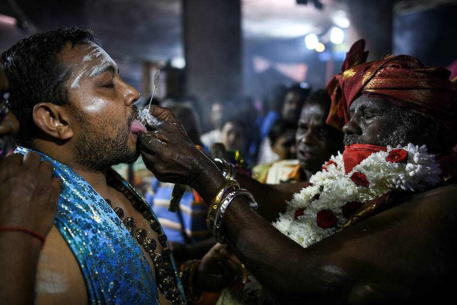 Los devotos del dios hindú Murugan celebran el Taipusam. Es un festival importante de la comunidad Tamil. Los devotos llevan kavadi, o cargas físicas, y participan en una larga procesión, a menudo comenzando antes del amanecer, para honrar al dios hindú Murugan y pedir favores o perdón.