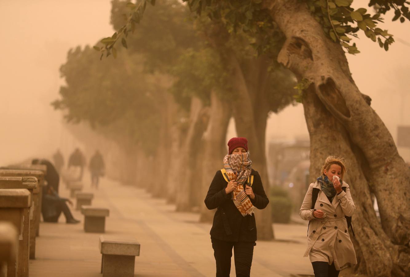 Varias personas se cubren el rostro durante una tormenta de arena en El Cairo, Egipto. La tormenta provocó que varios zoos y parques tuvieran que cerrar sus puertas al público.