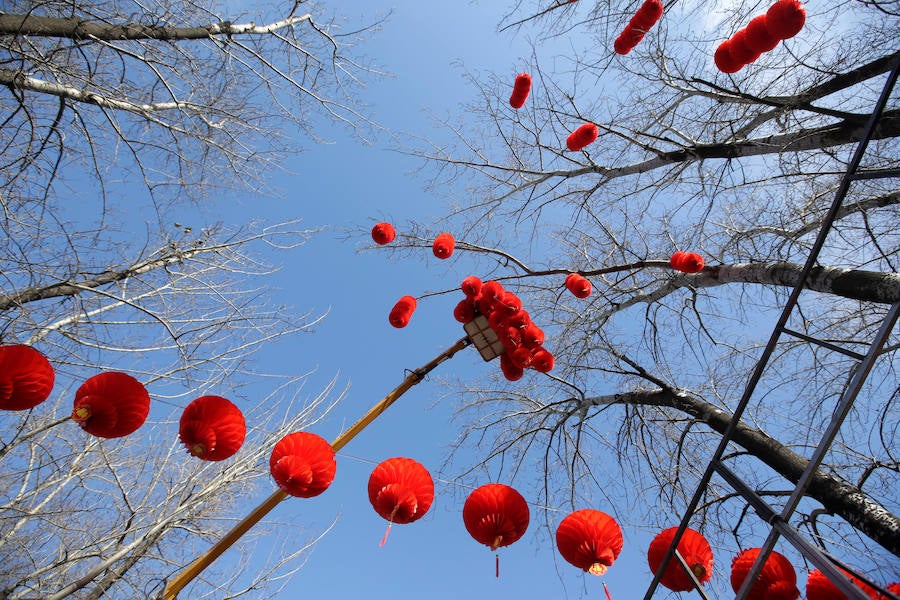 La danza del león es una característica común para traer buena fortuna, prosperidad, buena suerte a las empresas y ahuyentar a los espíritus malignos durante el Año Nuevo Lunar que se celebra el 5 de febrero de este año.