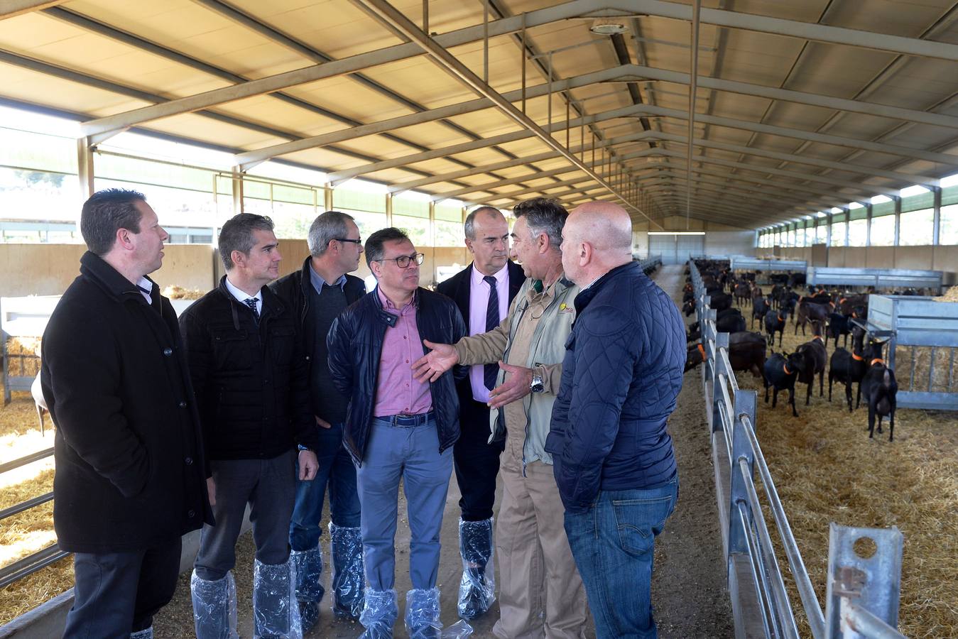 El consejero de Agua, Agricultura y Ganadería, Miguel Ángel del Amor, ha visitado la granja caprina Kpra de Mula que es la más grande de la Región con 3.500 cabras de la raza murciano-granadina