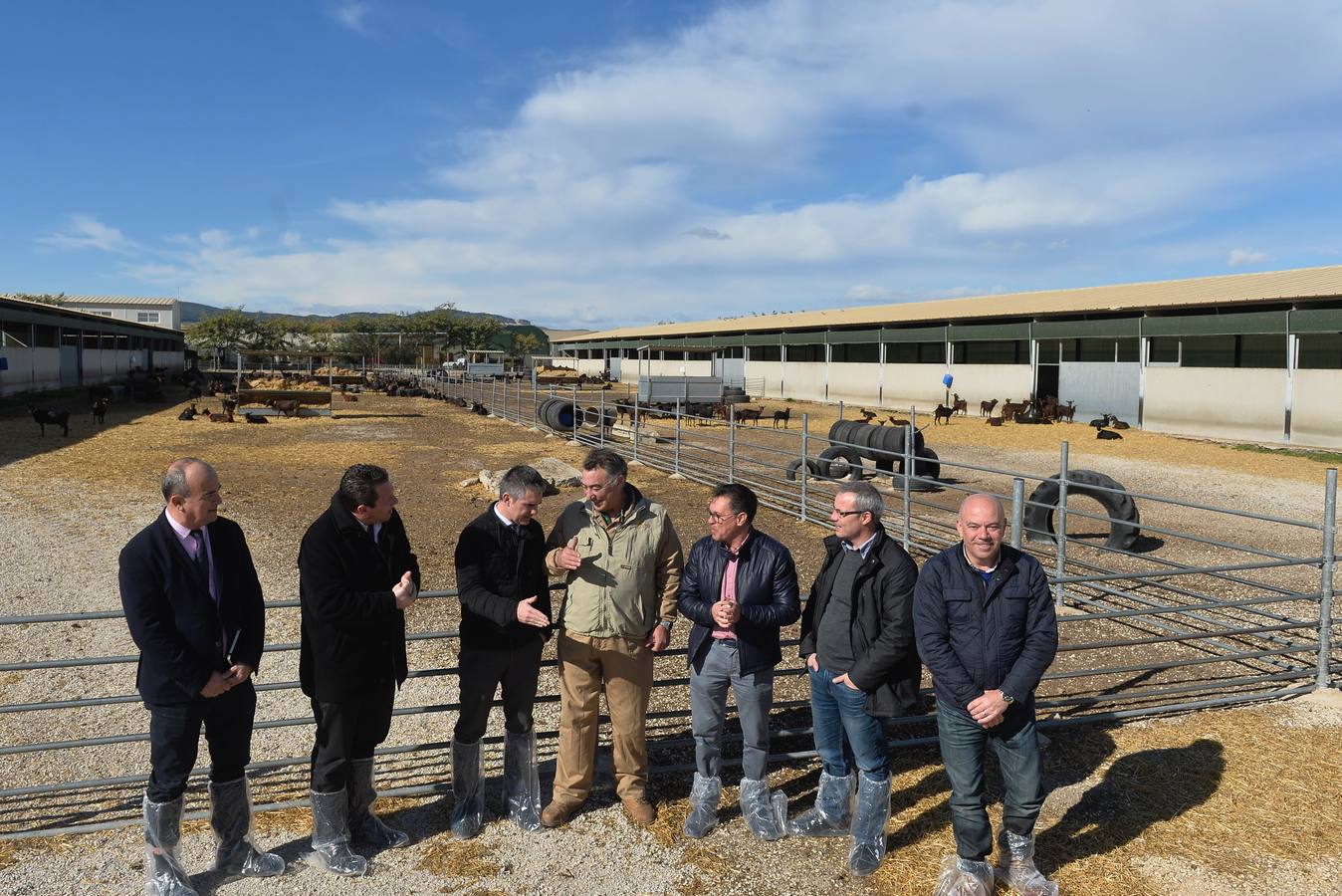 El consejero de Agua, Agricultura y Ganadería, Miguel Ángel del Amor, ha visitado la granja caprina Kpra de Mula que es la más grande de la Región con 3.500 cabras de la raza murciano-granadina