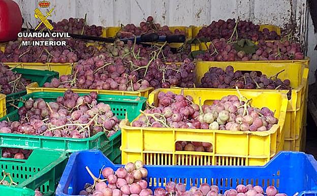 Uva sustraída en fincas de la comarca del Bajo Guadalentín.