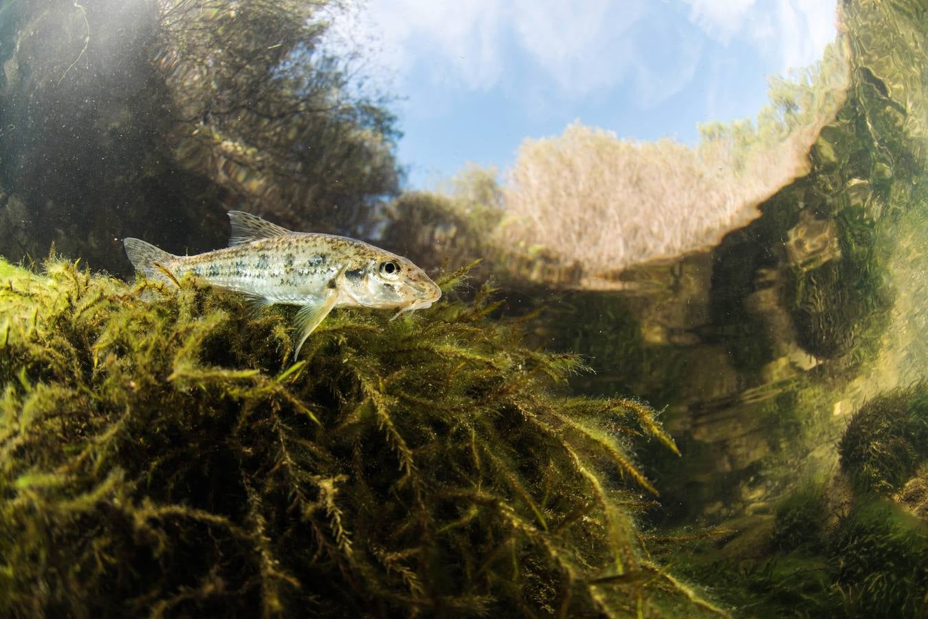 Columbares filmará un documental para divulgar las reservas fluviales de la cuenca hidrográfica
