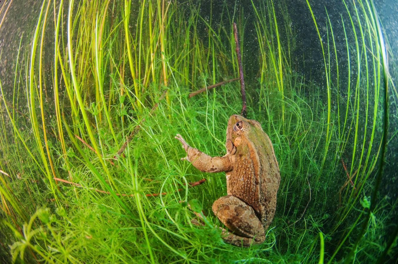 Columbares filmará un documental para divulgar las reservas fluviales de la cuenca hidrográfica