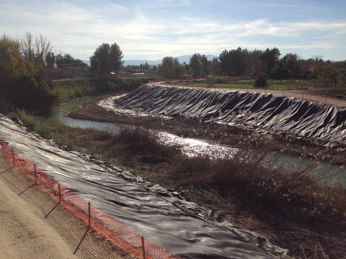El bosque de galería cubrirá amplios tramos de las riberas del río en pocos años