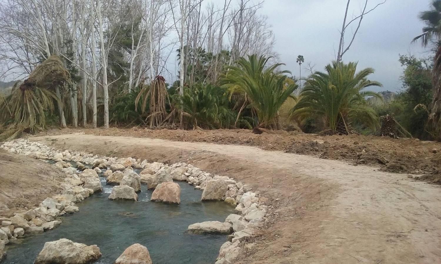 El bosque de galería cubrirá amplios tramos de las riberas del río en pocos años