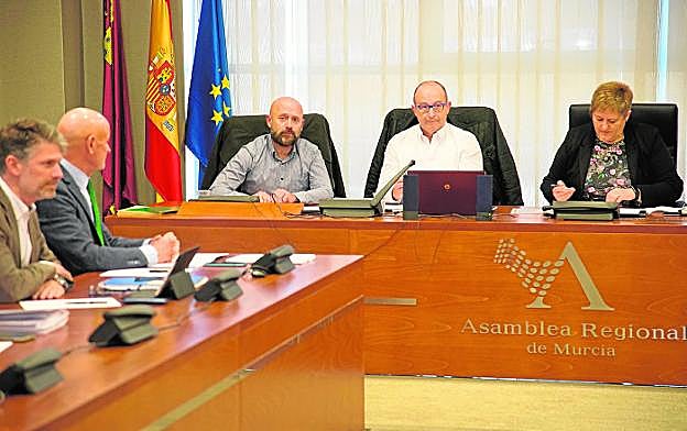 Peñas y Ortega, en el centro de la imagen, durante su comparecencia en la Asamblea. 