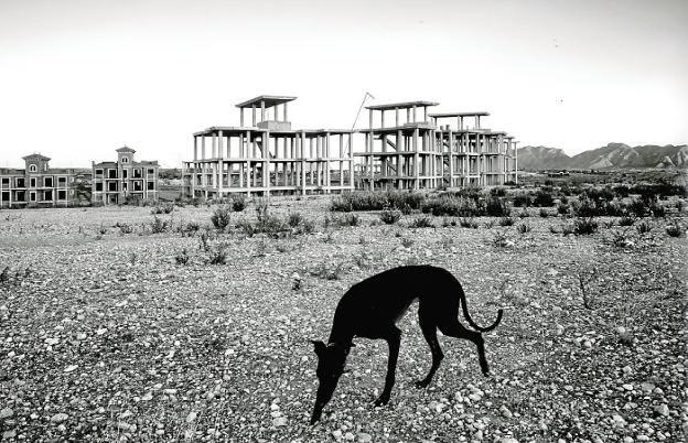 Una imagen de la urbanización Las Lamparillas, elegida entre las cinco finalistas. 