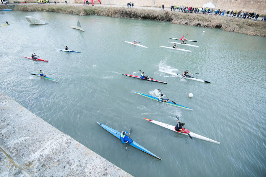 La Regata Ciudad de Murcia rompe su techo con setecientos palistas, barcos dragón y participantes de prestigio.