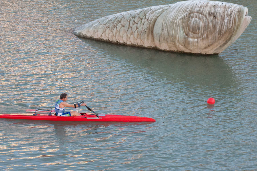 La Regata Ciudad de Murcia rompe su techo con setecientos palistas, barcos dragón y participantes de prestigio.