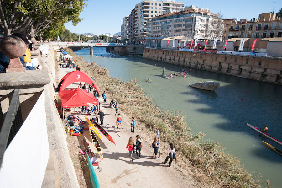 La Regata Ciudad de Murcia rompe su techo con setecientos palistas, barcos dragón y participantes de prestigio.