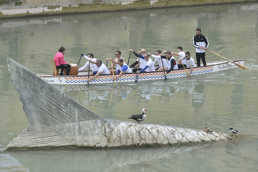 La Regata Ciudad de Murcia rompe su techo con setecientos palistas, barcos dragón y participantes de prestigio.