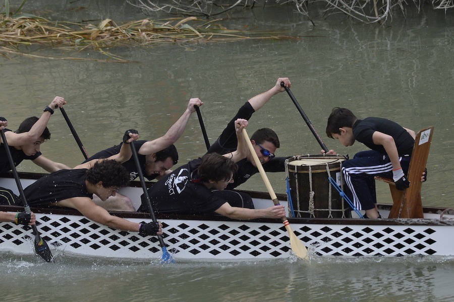 La Regata Ciudad de Murcia rompe su techo con setecientos palistas, barcos dragón y participantes de prestigio.