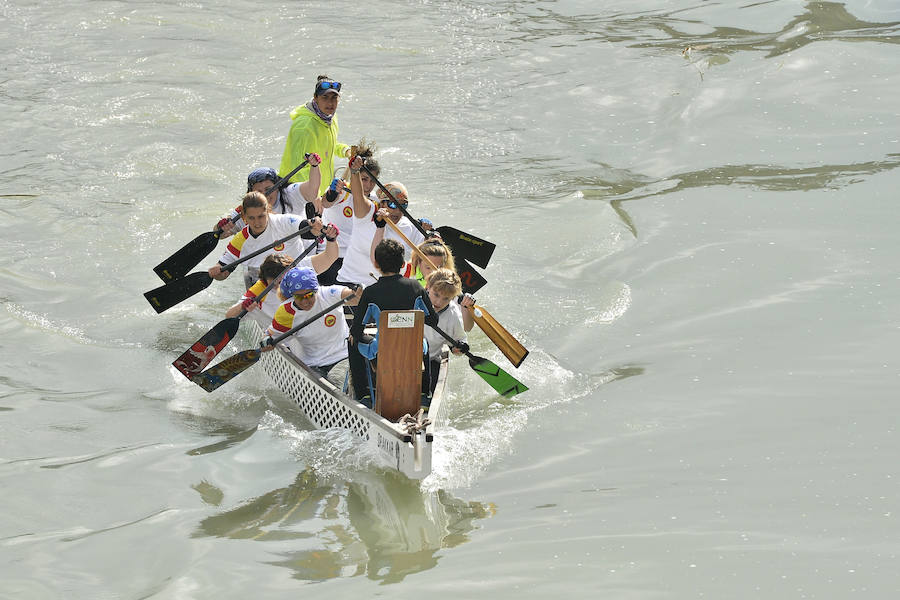 La Regata Ciudad de Murcia rompe su techo con setecientos palistas, barcos dragón y participantes de prestigio.