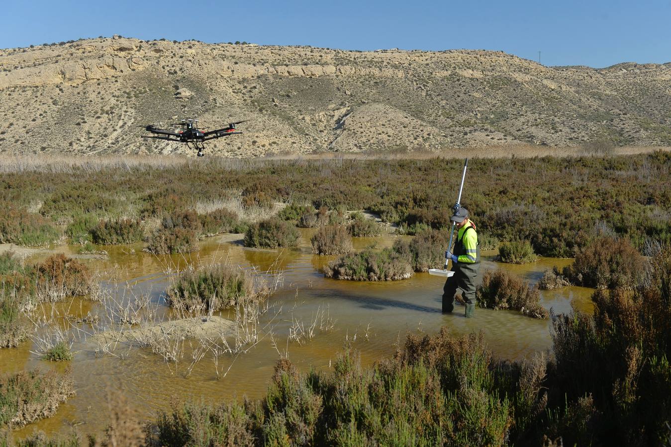 Los aparatos voladores esparcen por el agua una bacteria que impide el desarrollo biológico del 'Aedes albopictus'.