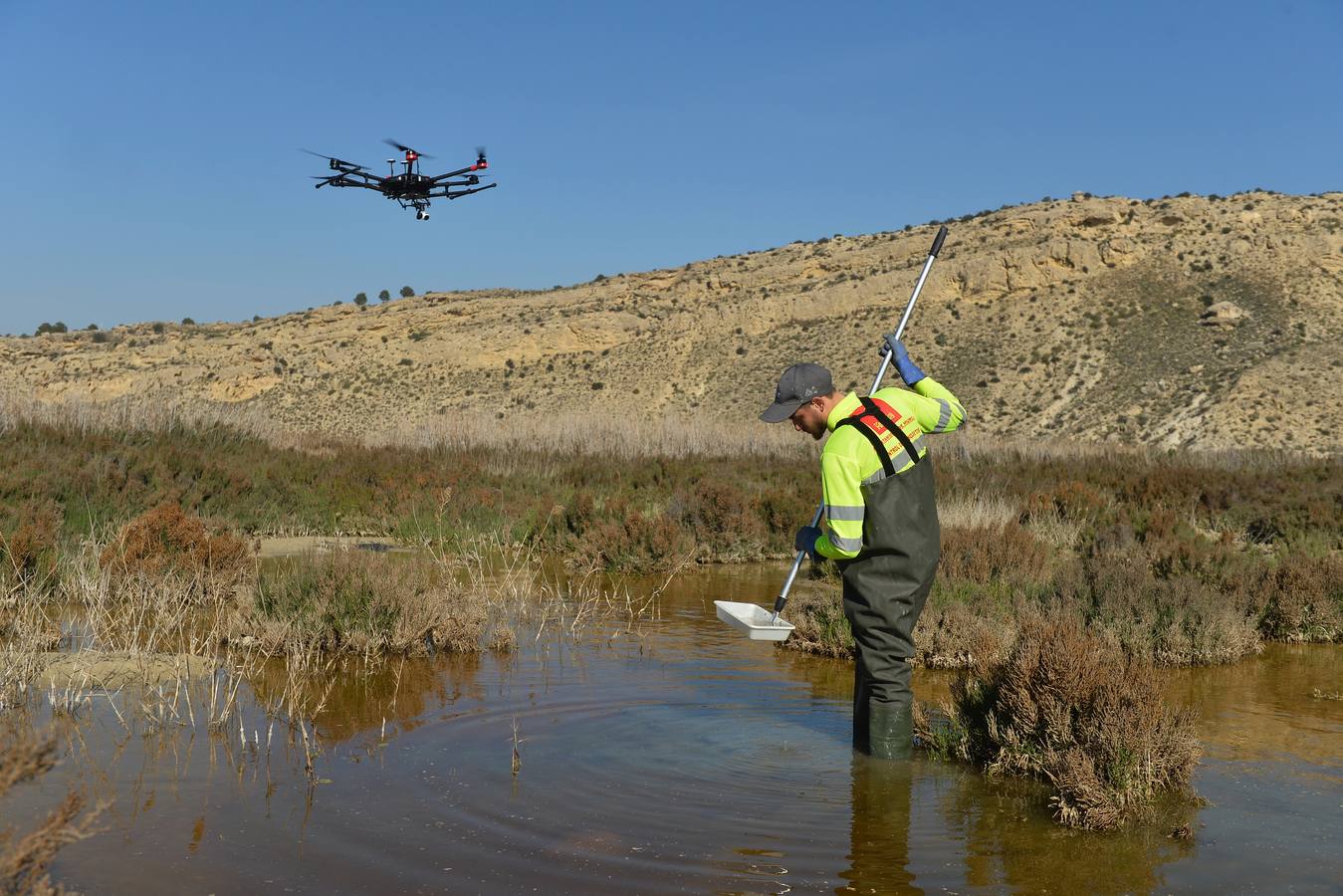 Los aparatos voladores esparcen por el agua una bacteria que impide el desarrollo biológico del 'Aedes albopictus'.