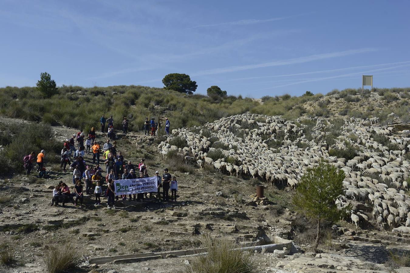 Más de 70 personas participaron el domingo en la VI Marcha Ganadera de Abarán, que discurrió por el Cordel de las Pocicas, en la Sierra de La Pila.