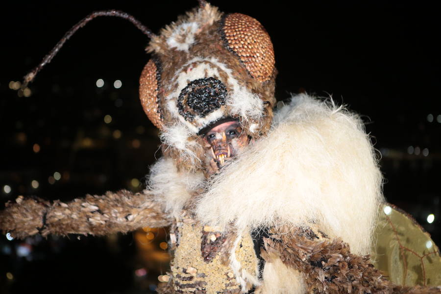 Cristina Moreno encarnó a la bestia de las fiestas del Carnaval con un traje que simulaba una abeja y acompañada por un séquito de setenta apicultores