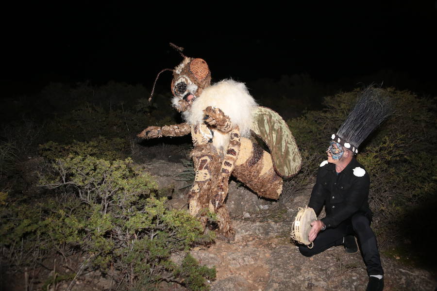 Cristina Moreno encarnó a la bestia de las fiestas del Carnaval con un traje que simulaba una abeja y acompañada por un séquito de setenta apicultores